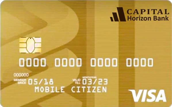 VISA GOLD CREDIT CARD